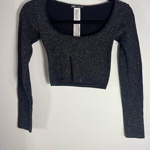 Zara Shimmering Black Long Sleeve Crop Top